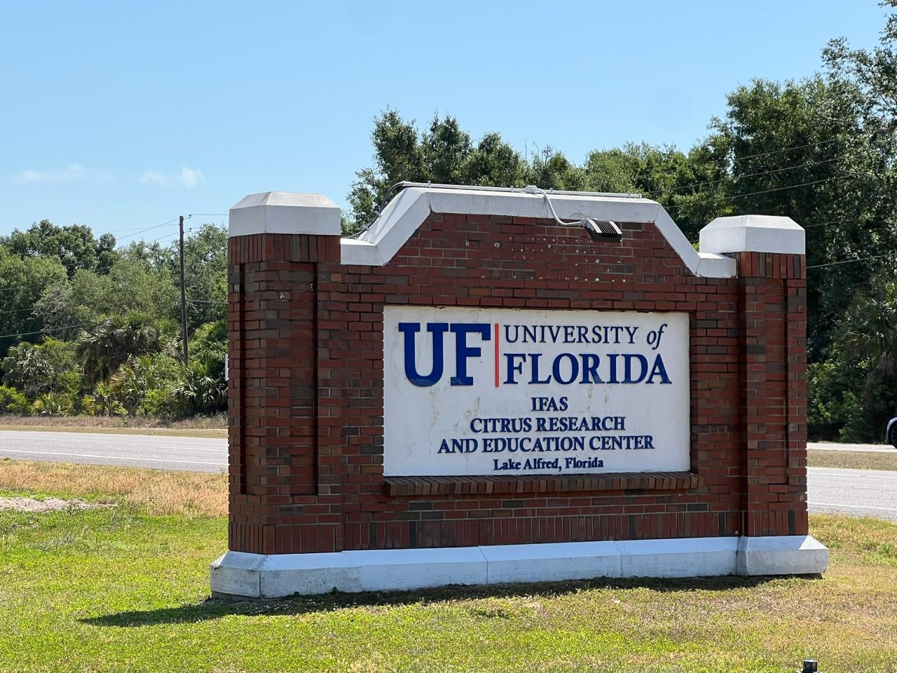 BEETLESS Teams Up with University of Florida on Field Trials to Combat Citrus Greening