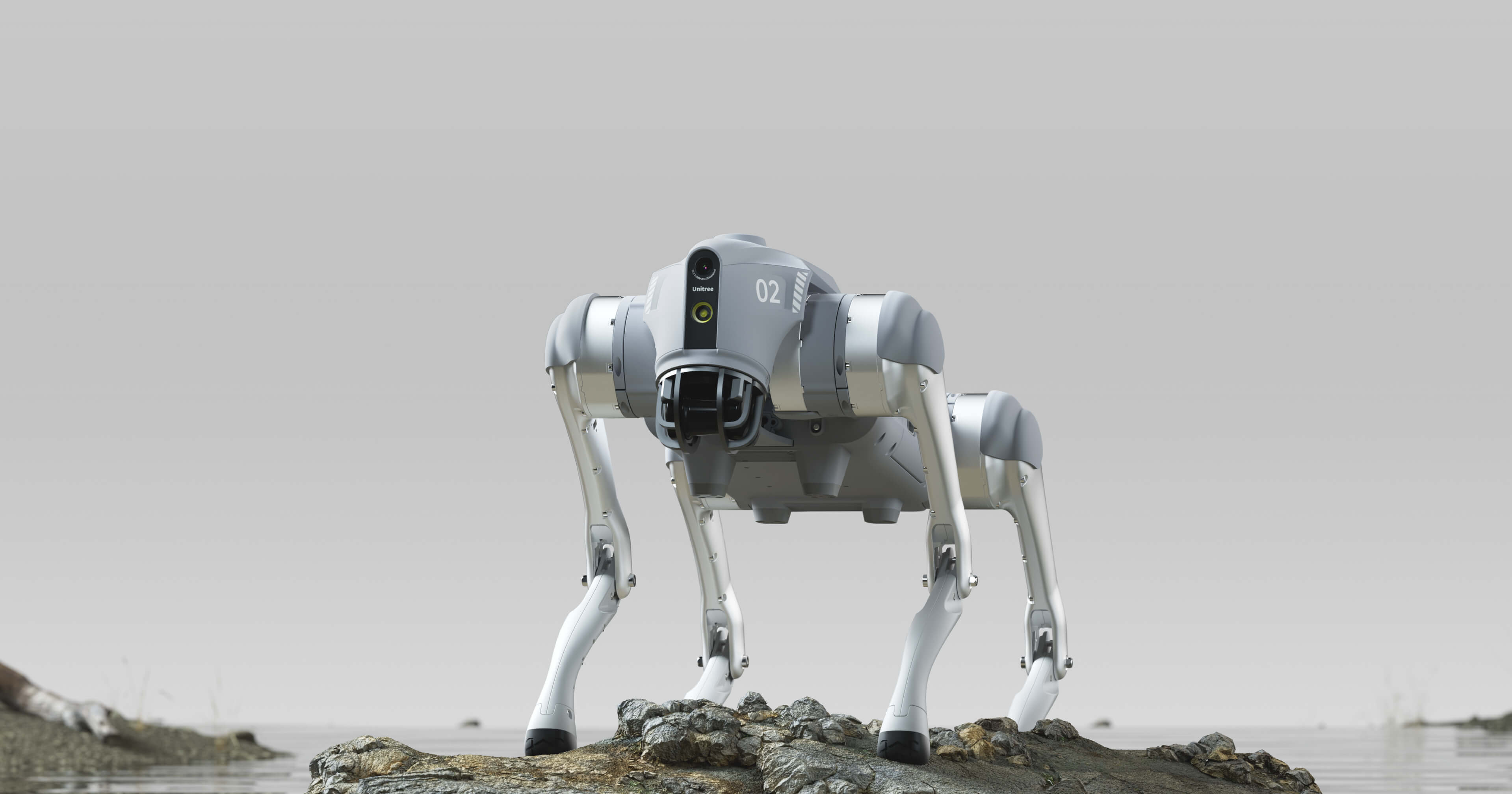 Robot Dogs